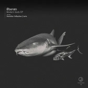 Modern Gods EP by Øberøn