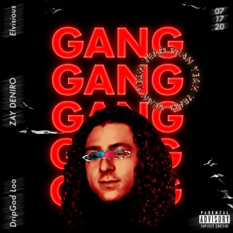 GANG by Z W