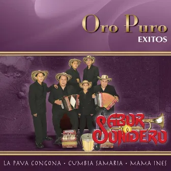 Oro Puro: Exitos by Sabor Sonidero