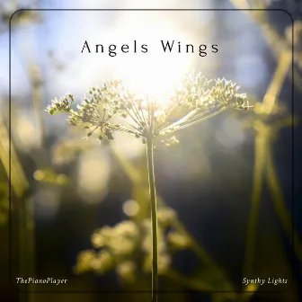 Angels Wings by Synthy Lights