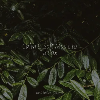 Calm & Soft Music to Relax by Anxiety Relief