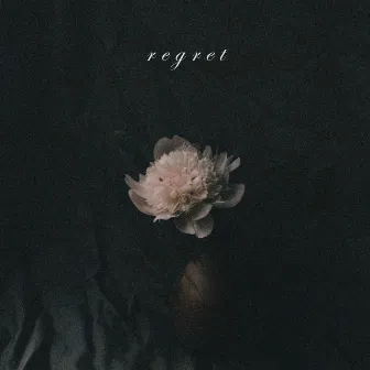 Regret by Frontières