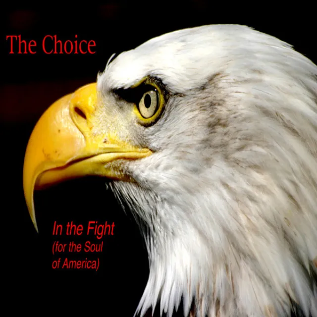 In the Fight (For the Soul of America)