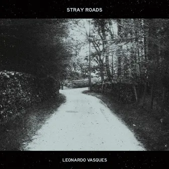 Stray Roads by Leonardo Vasques