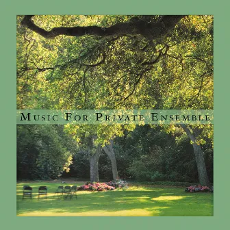 Music For Private Ensemble by Sean McCann