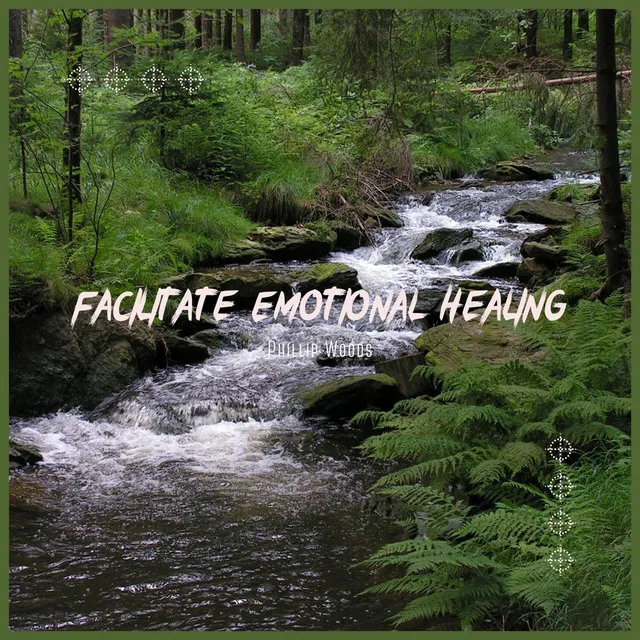 Facilitate Emotional Healing