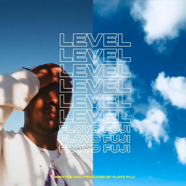 Level