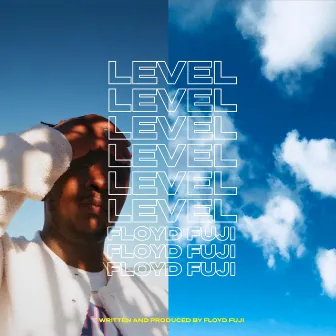 Level by Floyd Fuji