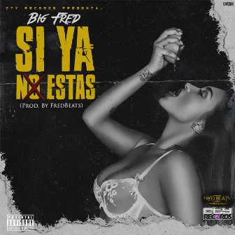 Si Ya No Estás by Big Fred