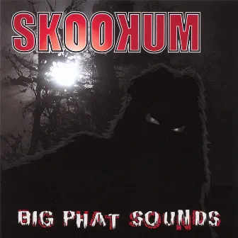 Big Phat Sounds by Skookum