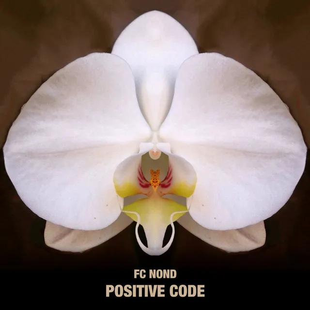 Positive Code (1998 Expanded)