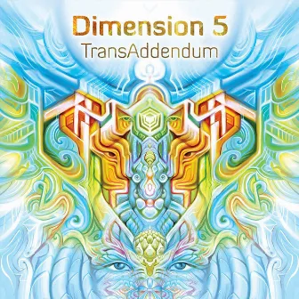 Trans-Addendum by Dimension 5