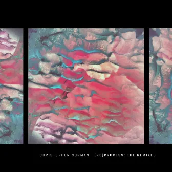 (Re) Process: The Remixes by Christopher Norman