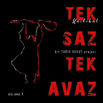 Tek Saz Tek Avaz, Vol. 1 (Hasbihal) by Tek Saz Tek Avaz