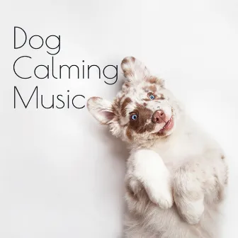 Dog Calming Music. Nature Sounds, Soothing & Healing New Age Pieces by Garden Music Academy