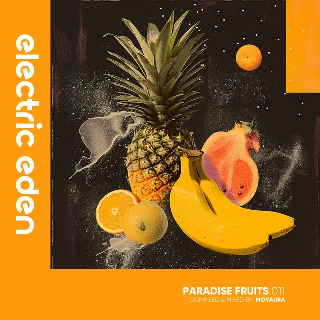 Paradise Fruits 011 (DJ Mix)