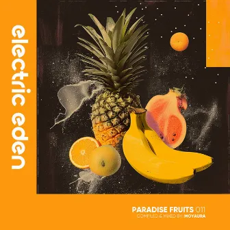 Paradise Fruits 011 (DJ Mix) by 