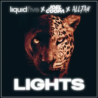 Lights by Alltag