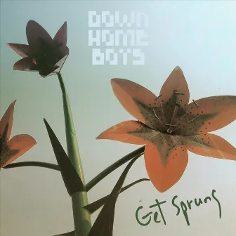 Get Sprung by Down Home Boys