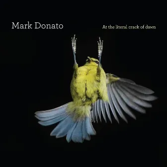 At the Literal Crack of Dawn by Mark Donato