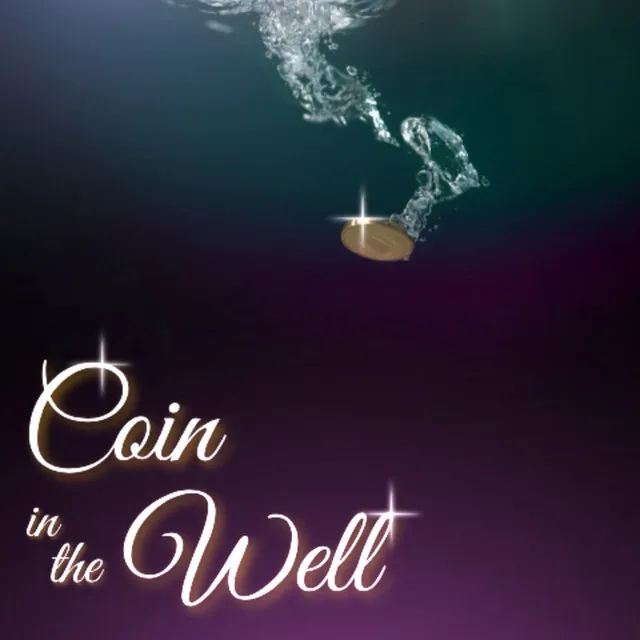 Coin In The Well