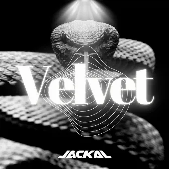 Velvet by Jackal Music