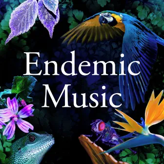 Endemic Music by Rabbit on the Moon