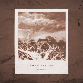 Eye of the Storm by Redwood