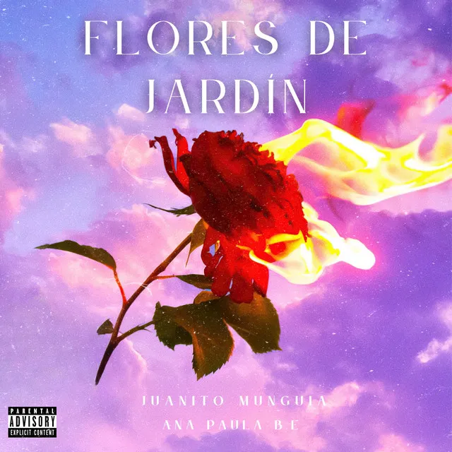 Flores de Jardín