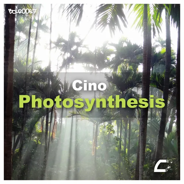 Photosynthesis - Original Mix