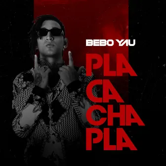 Pla Cacha Pla by Bebo Yau