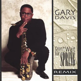 Don't Wait For Spring Remix by Gary Davis