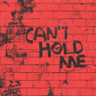 Can't Hold Me by Z.J.