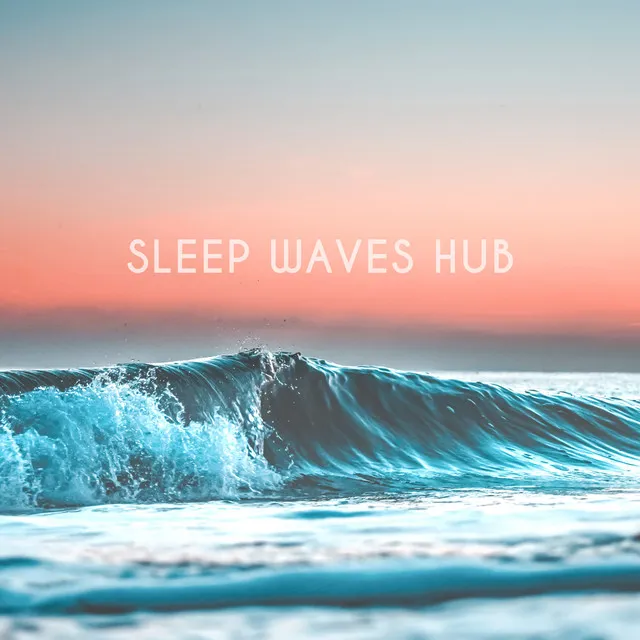 Sleep Waves Hub