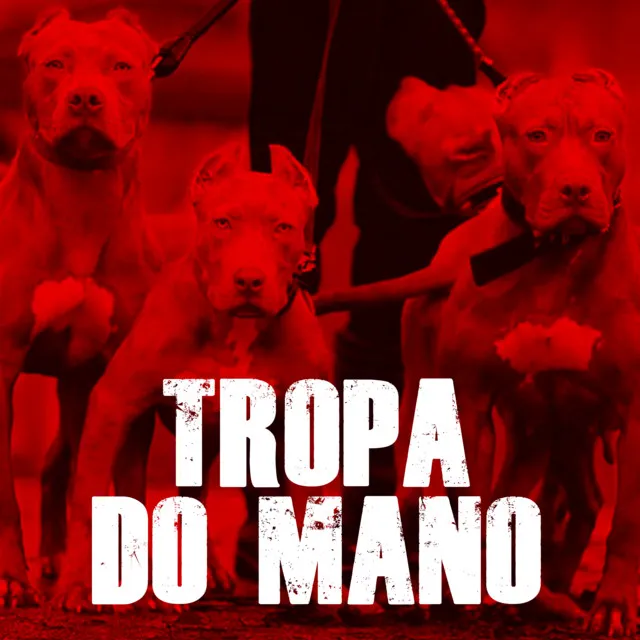 Tropa do Mano