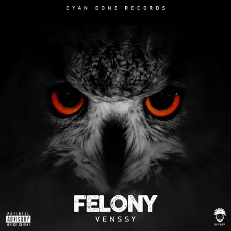 Felony by Venssy