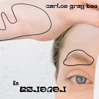 En Reversa by Carlos Gray Bee