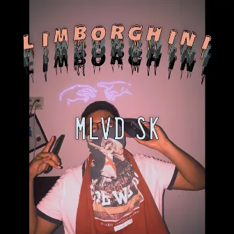 Limborghini by Mlvd Sk