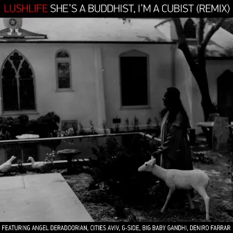 She's A Buddhist, I'm A Cubist (Remix) by Lushlife