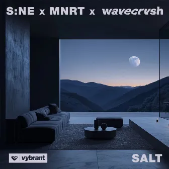 Salt by S:NE