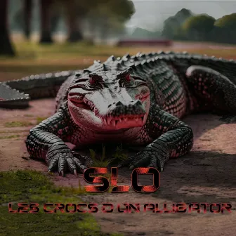 Les Crocs D'un Alligator by Slo