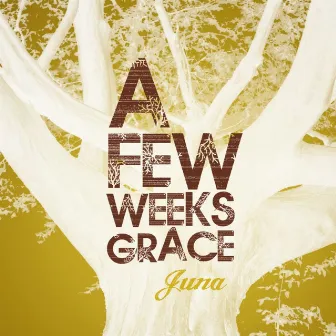 A Few Weeks Grace by Juna