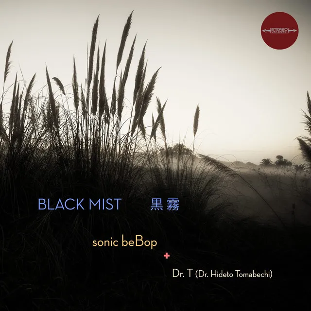 Black Mist mix2 - Bonus Track