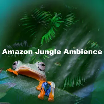 Amazon Jungle Ambience by Amazon Jungle Sounds