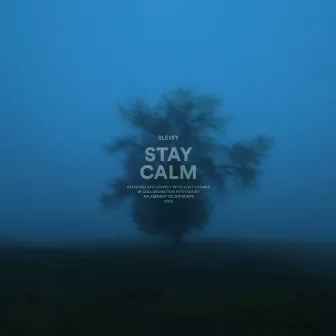 stay calm by slewy