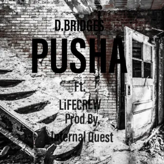 Pusha by Unknown Artist