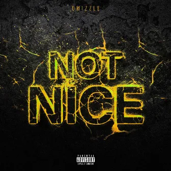 Not Nice by Omizzle