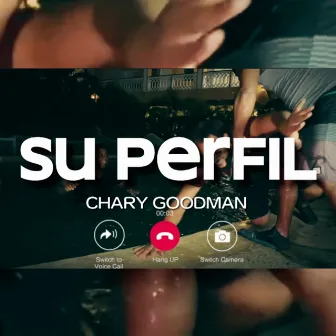 Su Perfil by Chary Goodman