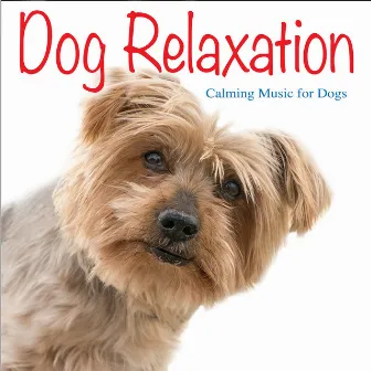 Dog Relaxation: Calming Music for Dogs by Jay Oliver