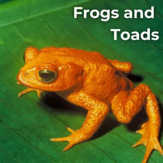 Frogs and Toads by Earthly Sounds